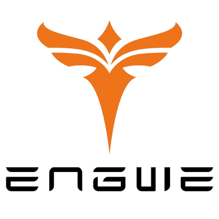 Engwe IT Official Coupons and Promo Code